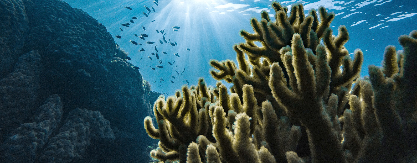 沙巴中水回用、陶瓷膜、石墨烯膜、黑金膜公家号，迎接您扫码关注！